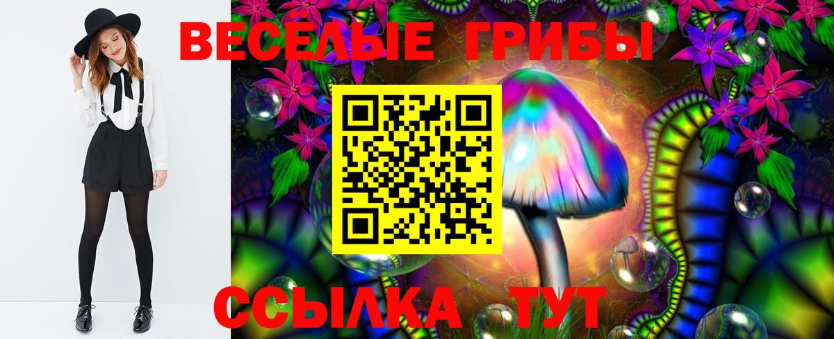 Псилоцибиновые грибы прущие грибы Арсеньев
